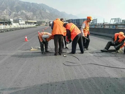 金水道路桥梁病害治理